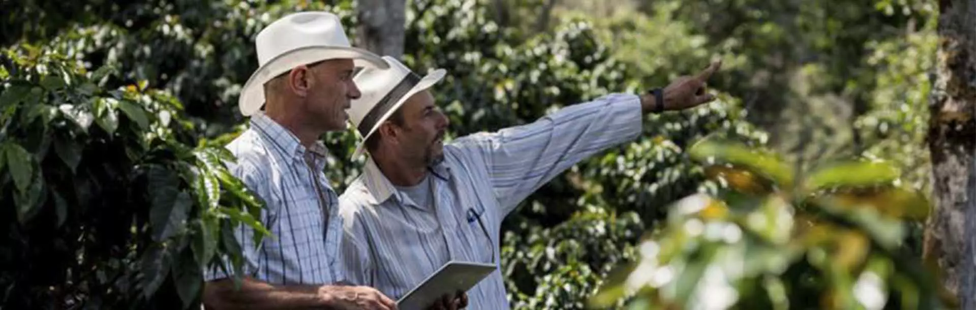 LOGÍSTICA NA AGRICULTURA: COMO REDUZIR OS CUSTOS?